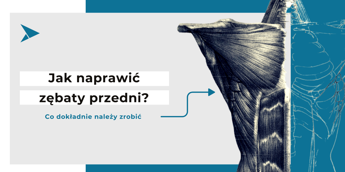 Mięsień zębaty przedni